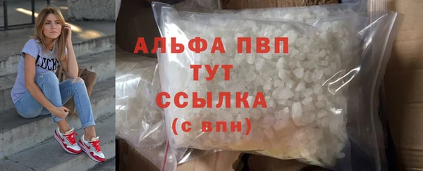 прущие грибы Каменка
