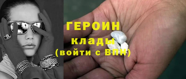 гашик Алексин