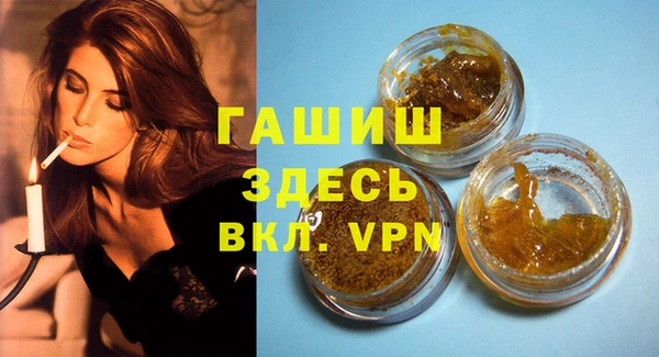 гашик Алексин