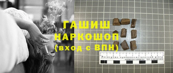 гашик Алексин