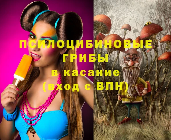 хмурый Аркадак