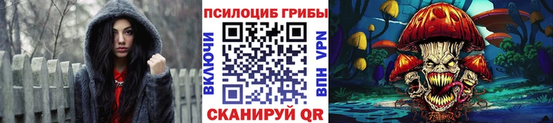 Псилоцибиновые грибы Cubensis Асбест