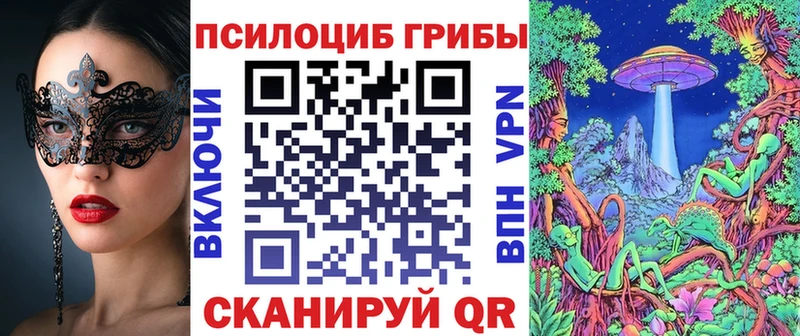 Псилоцибиновые грибы мицелий  продажа наркотиков  Асбест 
